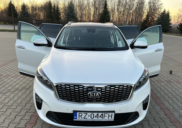 Kia Sorento cena 138000 przebieg: 49900, rok produkcji 2018 z Rzeszów małe 781